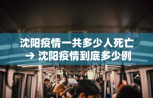 辅助盘点“微乐内蒙麻将开挂教程”开挂辅助详细步骤