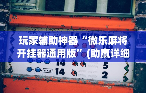 【玩家游戏玩法】“多乐跑得快开挂神器下载安装	”附开挂脚本详细步骤