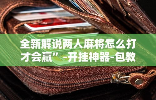 全新解说两人麻将怎么打才会赢”-开挂神器-包教包会