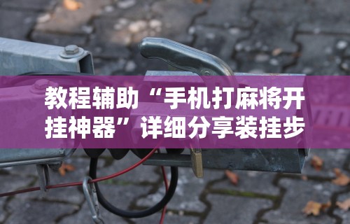 教程辅助“手机打麻将开挂神器	”详细分享装挂步骤