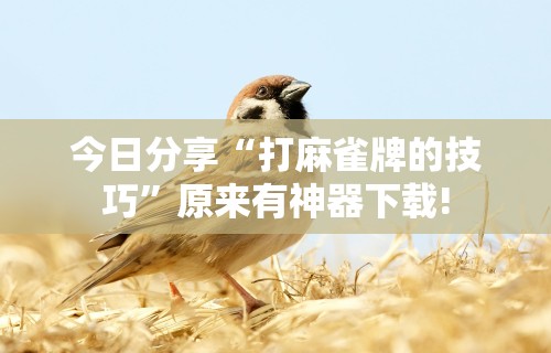 [教程经验]“跑得快免费开挂神器	”开挂(透视)辅助