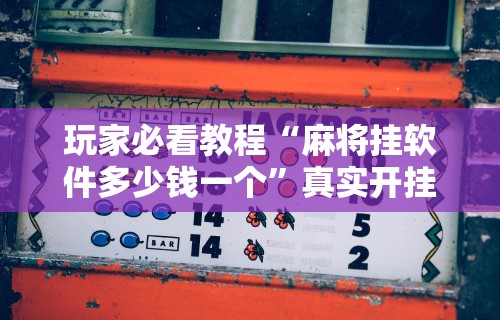 玩家必看教程“麻将挂软件多少钱一个”真实开挂技巧分享