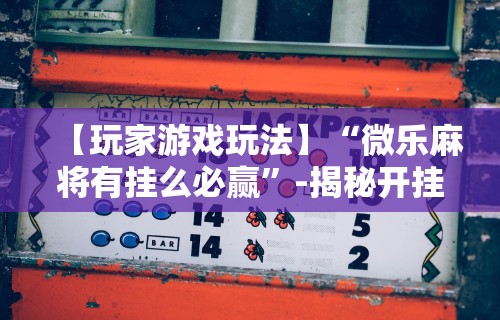 【玩家必看实操】“哈灵麻将开挂教程	”详细外挂安装步骤