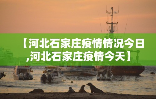 [推荐]“清风碰麻将技巧”详细开挂玩法