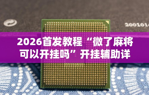 2026首发教程“微了麻将可以开挂吗”开挂辅助详细步骤