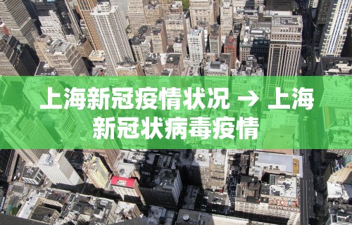 教程辅助“微乐麻将外卦神器视频大全(透视挂真的假的)