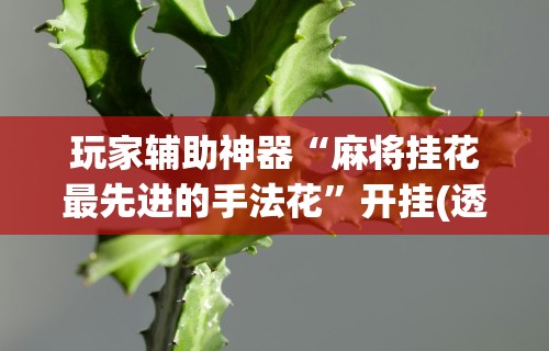 玩家辅助神器“麻将挂花最先进的手法花”开挂(透视)辅助教程