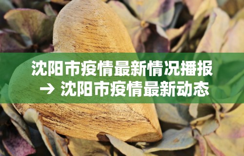 强力推荐“微乐麻将怎么打才能赢一万”其实有开挂插件!