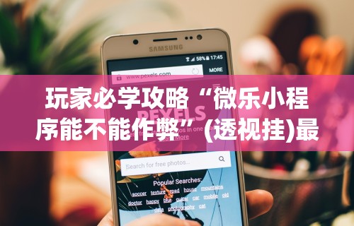 玩家必学攻略“微乐小程序能不能作弊”(透视挂)最新辅助详细教程