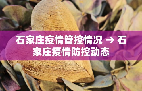 【终于出现】“终于明白手机麻将输赢规律”-必赢神器安装