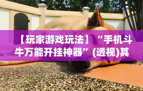 【玩家游戏玩法】“手机斗牛万能开挂神器”(透视)其实确实有挂