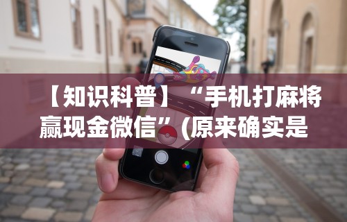 【知识科普】“手机打麻将赢现金微信”(原来确实是有插件) 
