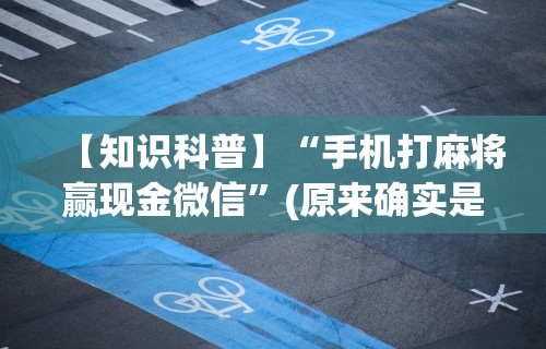 【知识科普】“手机打麻将赢现金微信”(原来确实是有插件) 