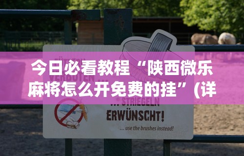 今日必看教程“陕西微乐麻将怎么开免费的挂”(详细透视教程)-