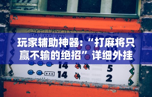 玩家辅助神器:“打麻将只赢不输的绝招”详细外挂辅助详细教程