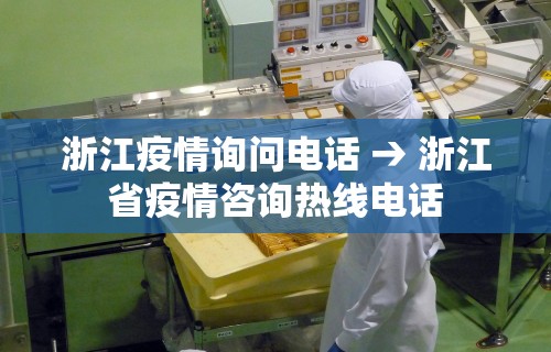 秒懂经验“同城麻将能开挂吗”开挂详细教程