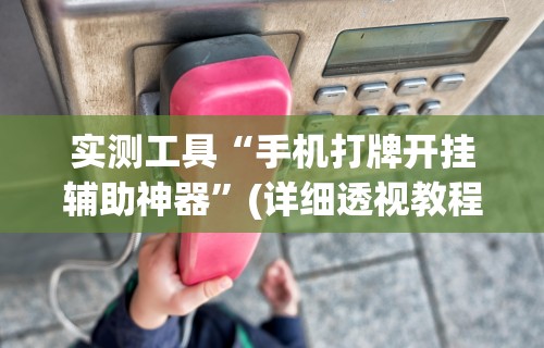 实测工具“手机打牌开挂辅助神器	”(详细透视教程)-