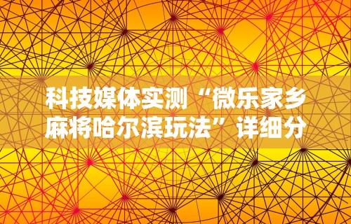 科技媒体实测“微乐家乡麻将哈尔滨玩法	”详细分享装挂步骤