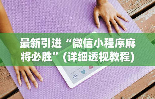 最新引进“微信小程序麻将必胜”(详细透视教程)