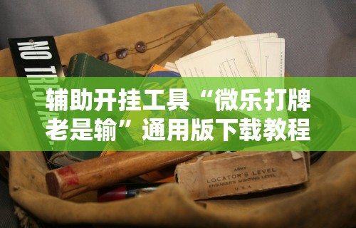 辅助开挂工具“微乐打牌老是输”通用版下载教程