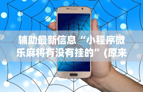 辅助最新信息“小程序微乐麻将有没有挂的”(原来确实是有挂) 