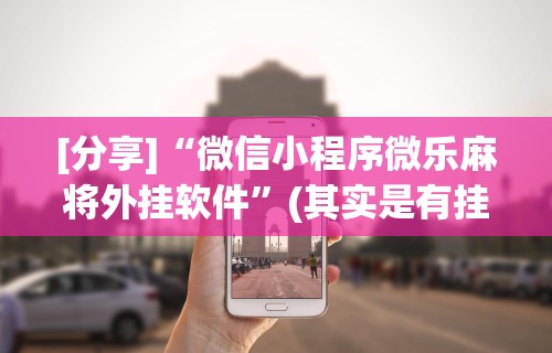 [分享]“微信小程序微乐麻将外挂软件”(其实是有挂)