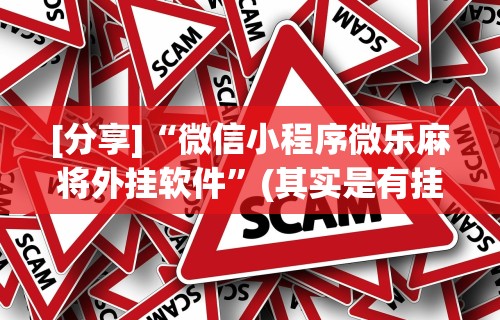 [分享]“微信小程序微乐麻将外挂软件”(其实是有挂)