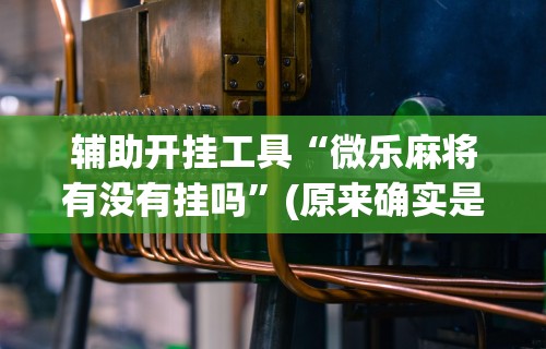 辅助开挂工具“微乐麻将有没有挂吗”(原来确实是有挂) 