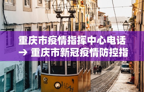 辅助开挂神器“新三哥玩透视神器下载”(曝光透视必备猫腻)