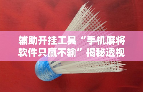 辅助开挂工具“手机麻将软件只赢不输”揭秘透视辅助万能挂用法