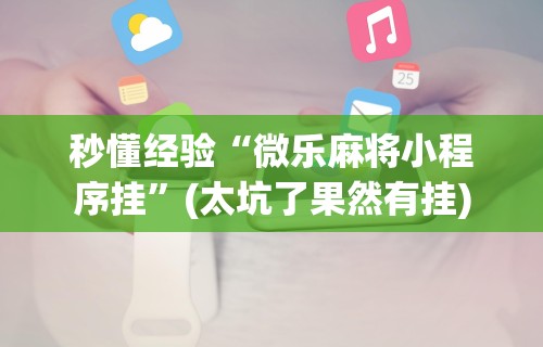 秒懂经验“微乐麻将小程序挂”(太坑了果然有挂)
