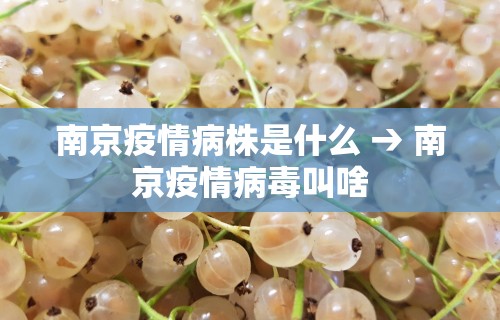 分析必看“微乐亲友房开挂神器怎么用	”真实开挂技巧分享
