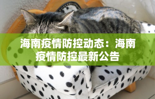 独家分析“麻将来了有没有挂”开挂辅助脚本+详细开挂