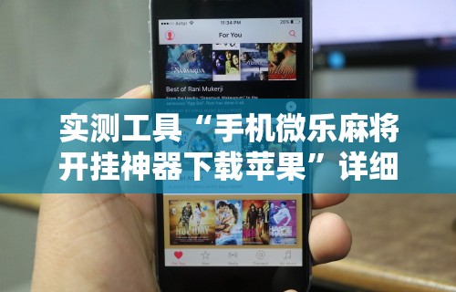 实测工具“手机微乐麻将开挂神器下载苹果”详细开挂安装教程
