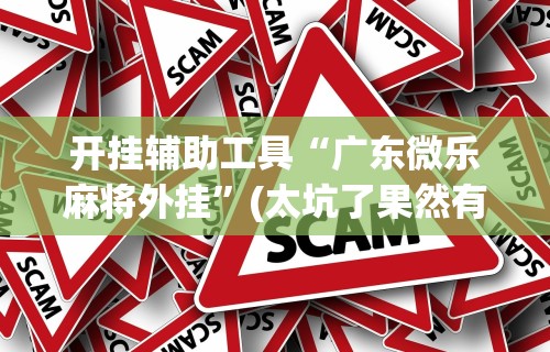 开挂辅助工具“广东微乐麻将外挂”(太坑了果然有挂)