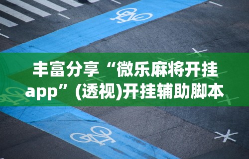 丰富分享“微乐麻将开挂app”(透视)开挂辅助脚本+详细开挂安装教程