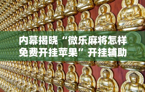 内幕揭晓“微乐麻将怎样免费开挂苹果”开挂辅助详细步骤