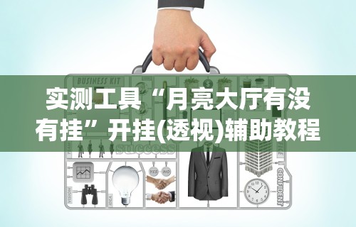 实测工具“月亮大厅有没有挂”开挂(透视)辅助教程