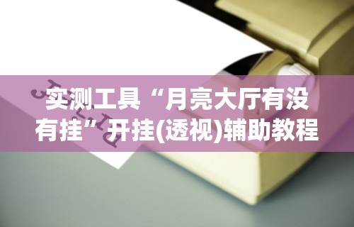 实测工具“月亮大厅有没有挂”开挂(透视)辅助教程