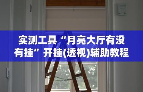 实测工具“月亮大厅有没有挂”开挂(透视)辅助教程