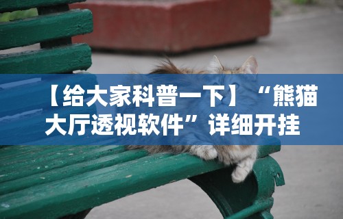 【给大家科普一下】“熊猫大厅透视软件”详细开挂教程