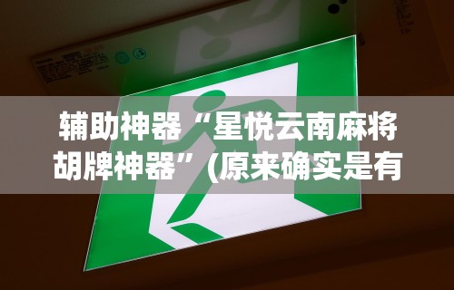 辅助神器“星悦云南麻将胡牌神器	”(原来确实是有挂)