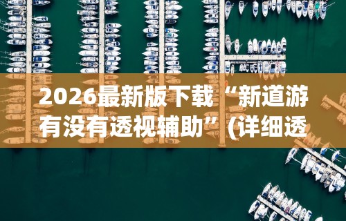 2026最新版下载“新道游有没有透视辅助”(详细透视教程)-