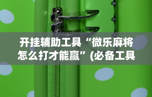 开挂辅助工具“微乐麻将怎么打才能赢”(必备工具)辅助教学