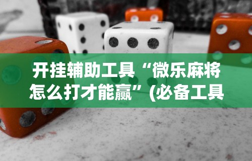 开挂辅助工具“微乐麻将怎么打才能赢	”(必备工具)辅助教学
