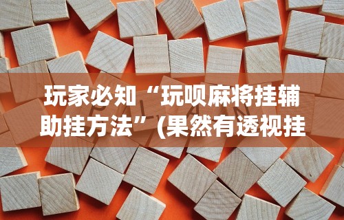 玩家必知“玩呗麻将挂辅助挂方法”(果然有透视挂)