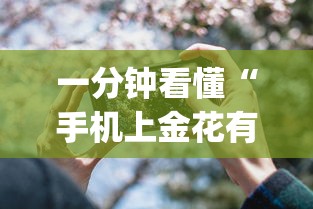 安装程序教程“七彩云南游戏开挂神器”通用版下载教程