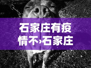 重大来袭“微壳长沙麻将有没有挂”开挂(透视)辅助教程