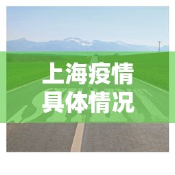 解析分享“友友麻将开挂”(透视挂)最新辅助详细教程