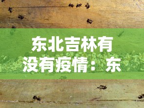 【盘点十款】“微信手机麻将输赢规律”(透视)其实真的有挂